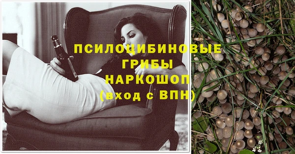 твердый Алзамай