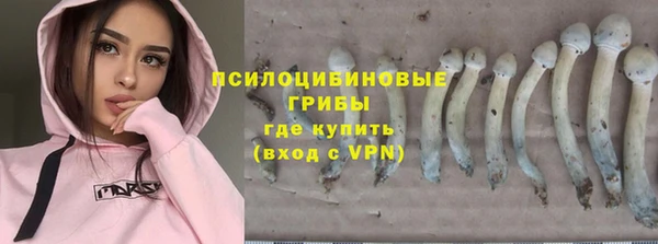 спайс Алексин