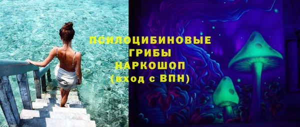 спайс Алексин